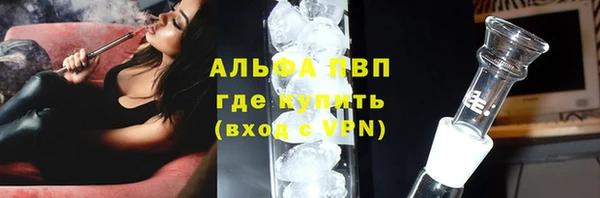 крисы Алзамай