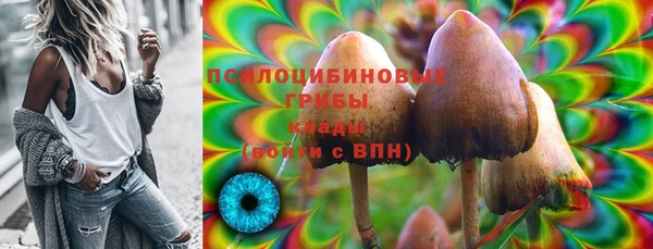 СК Алексин