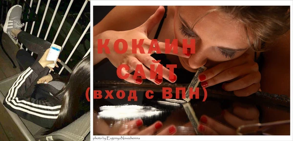 крисы Алзамай