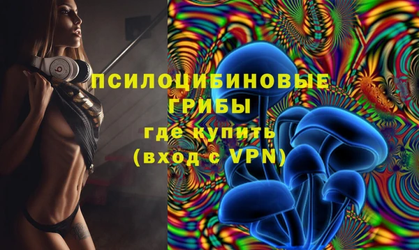 прущие грибы Алексеевка