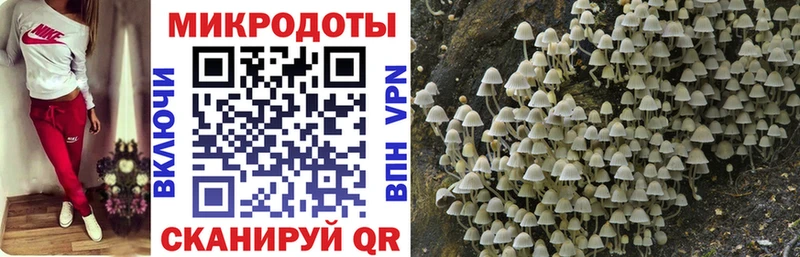 Галлюциногенные грибы Cubensis  Багратионовск 